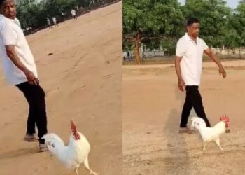 Film 2025 04 10t141706.054