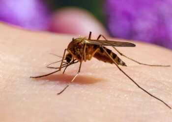 Film 2025 04 18t222624.160