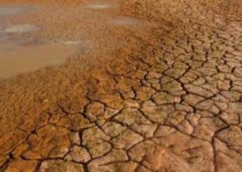 Film 2025 04 21t114724.277