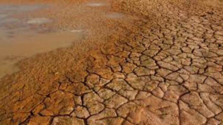 Film 2025 04 21t114724.277