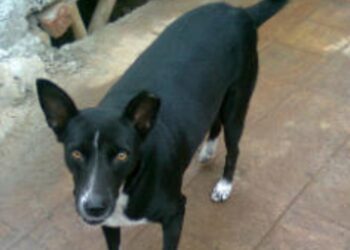 Film 2025 04 25t192914.189