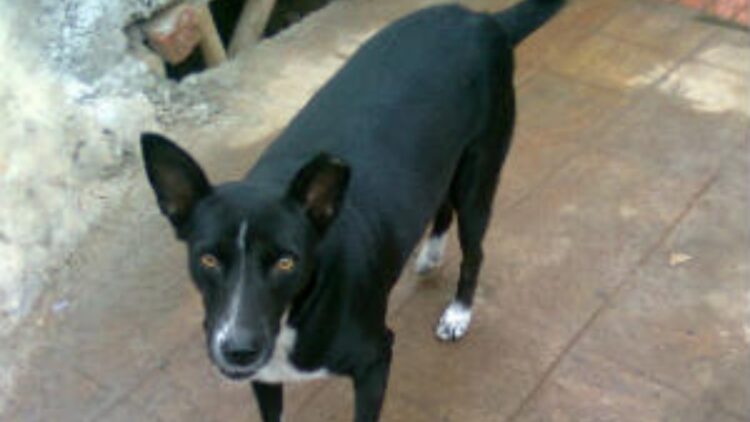 Film 2025 04 25t192914.189