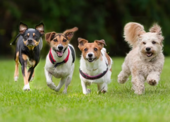 Gettyimages 180680638 676f621f720bc