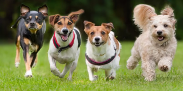 Gettyimages 180680638 676f621f720bc