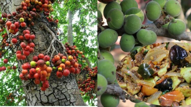 Shn 2025 04 17t125942.826