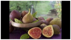 Shn 2025 04 17t130533.798