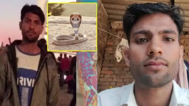 Shn 2025 04 17t185601.838