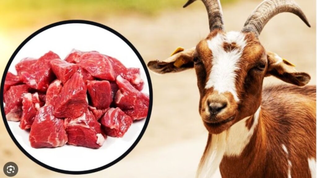 Siddu stalin kcr (37)