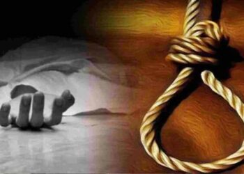 Untitled 1 710x400xt