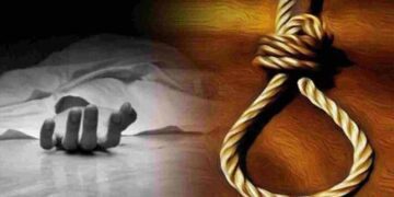 Untitled 1 710x400xt