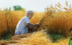 A severe heat wave in march 2022 trimmed india s w 1673375815605