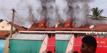 Befunky collage (15)