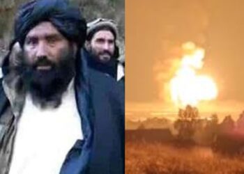 Befunky collage 2025 05 08t150956.500