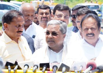 Befunky collage 2025 05 08t152949.696