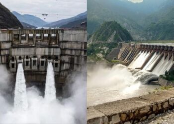 Befunky collage 2025 05 08t174956.269