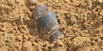 Befunky collage 2025 05 09t164615.427