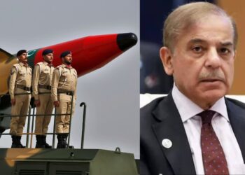 Befunky collage 2025 05 10t134526.884