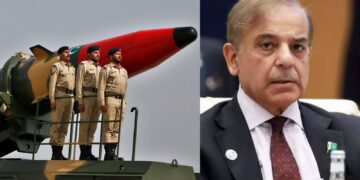 Befunky collage 2025 05 10t134526.884