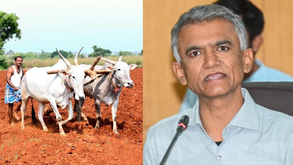 Befunky collage 2025 05 13t105422.723