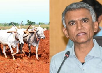 Befunky collage 2025 05 13t105422.723