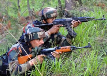 Befunky collage 2025 05 13t110635.389