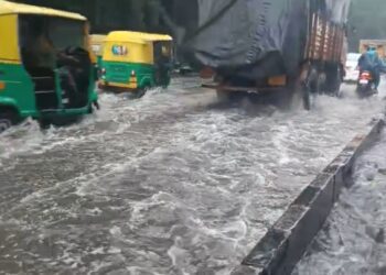 Befunky collage 2025 05 13t163616.312