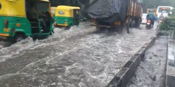 Befunky collage 2025 05 13t163616.312