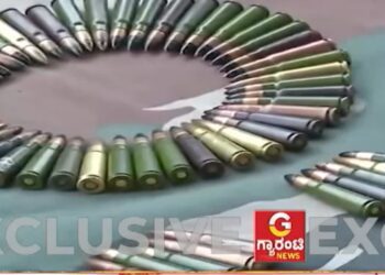 Befunky collage 2025 05 14t125905.961