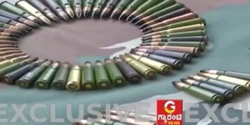 Befunky collage 2025 05 14t125905.961