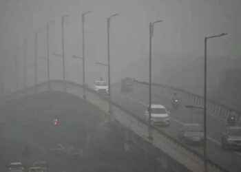 Befunky collage 2025 05 16t085515.286