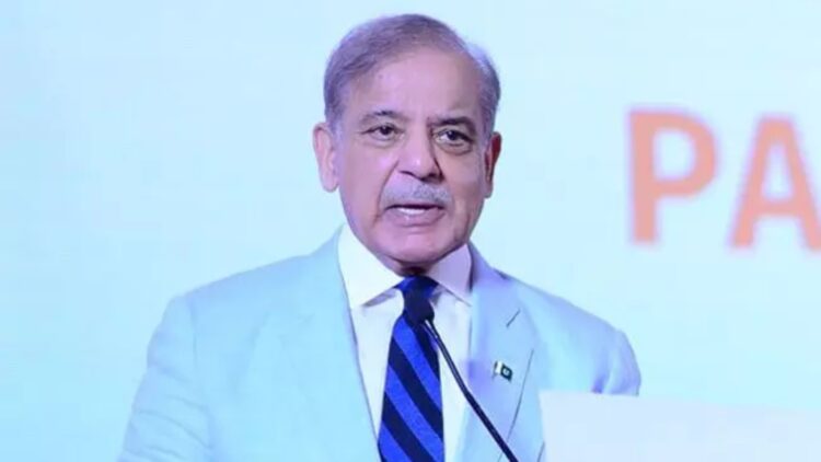 Befunky collage 2025 05 16t105938.236