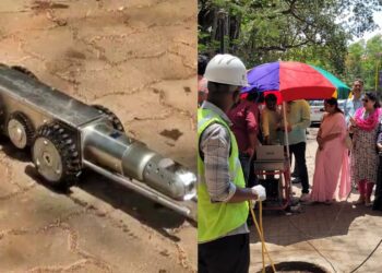 Befunky collage 2025 05 16t113716.473