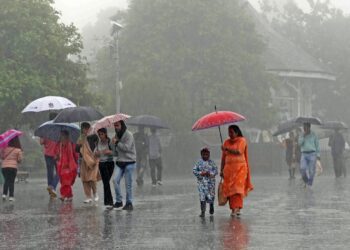 Befunky collage 2025 05 16t125009.429