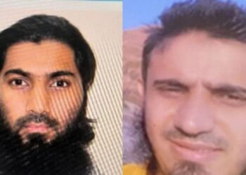 Befunky collage 2025 05 17t111244.396