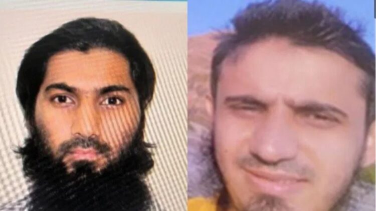 Befunky collage 2025 05 17t111244.396