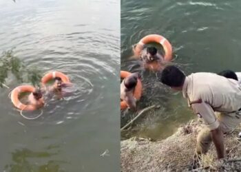 Befunky collage 2025 05 17t112624.573