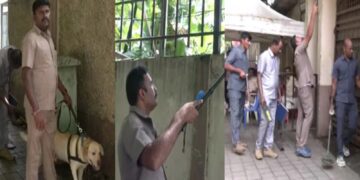 Befunky collage 2025 05 17t120108.812