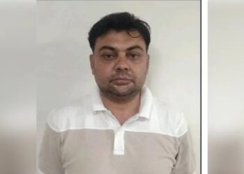 Befunky collage 2025 05 19t164153.554