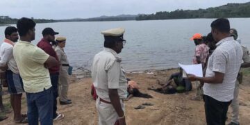 Befunky collage 2025 05 19t173951.354