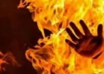 Befunky collage 2025 05 20t172305.634