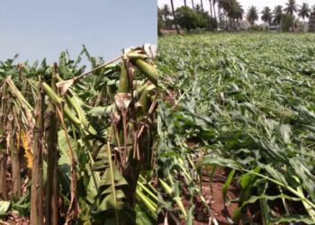 Befunky collage 2025 05 24t103626.967