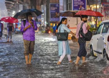 Befunky collage 2025 05 24t104653.344