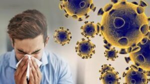 Befunky collage 2025 05 24t131913.487