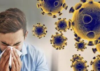 Befunky collage 2025 05 24t131913.487