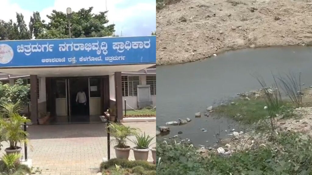 Befunky collage 2025 05 25t084603.087