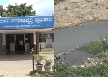 Befunky collage 2025 05 25t084603.087