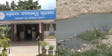 Befunky collage 2025 05 25t084603.087