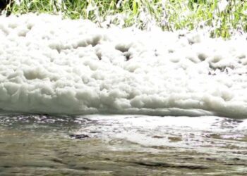 Befunky collage 2025 05 25t085730.663