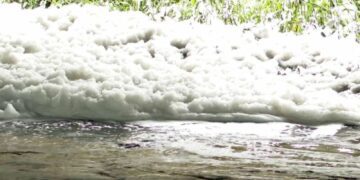 Befunky collage 2025 05 25t085730.663