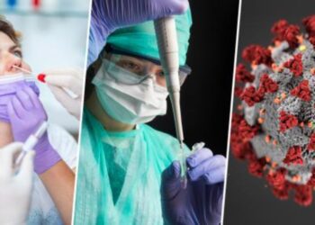 Befunky collage 2025 05 25t091113.555